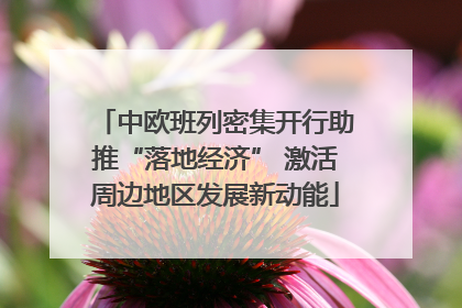 中欧班列密集开行助推“落地经济” 激活周边地区发展新动能