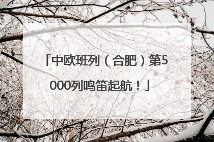 中欧班列（合肥）第5000列鸣笛起航！