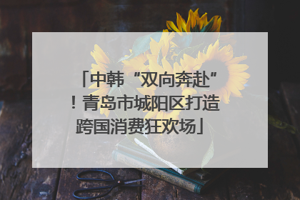 中韩“双向奔赴”！青岛市城阳区打造跨国消费狂欢场