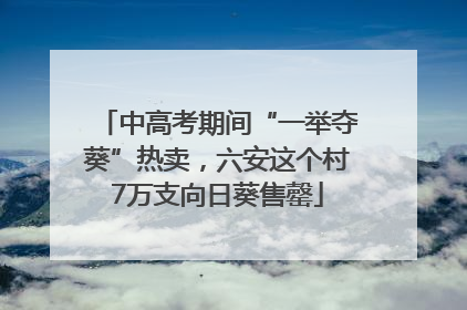 中高考期间“一举夺葵”热卖，六安这个村7万支向日葵售罄