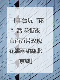 丰台玩“花”活 花街夜市百万片玫瑰花瓣雨甜翻北京城