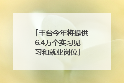 丰台今年将提供6.4万个实习见习和就业岗位