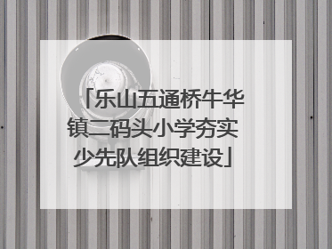 乐山五通桥牛华镇二码头小学夯实少先队组织建设