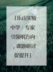 乐山实验中学：专家引领明方向，课题研讨促提升