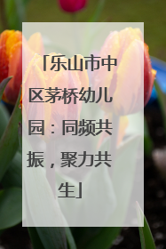 乐山市中区茅桥幼儿园：同频共振，聚力共生
