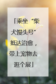 乘坐“柴犬馒头号”抵达治愈，带上宠物去逛个展