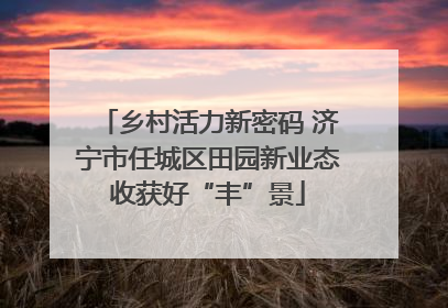 乡村活力新密码 济宁市任城区田园新业态收获好“丰”景