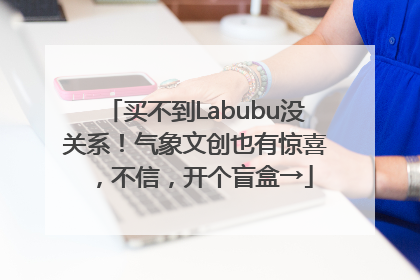 买不到Labubu没关系！气象文创也有惊喜，不信，开个盲盒→