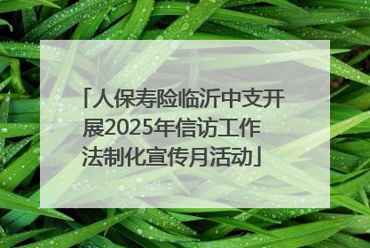 人保寿险临沂中支开展2025年信访工作法制化宣传月活动