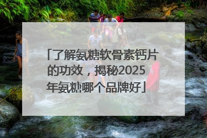 了解氨糖软骨素钙片的功效，揭秘2025年氨糖哪个品牌好