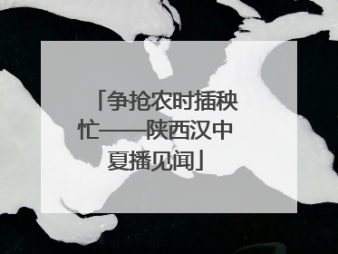 争抢农时插秧忙——陕西汉中夏播见闻
