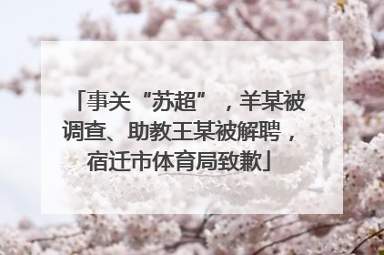 事关“苏超”，羊某被调查、助教王某被解聘，宿迁市体育局致歉