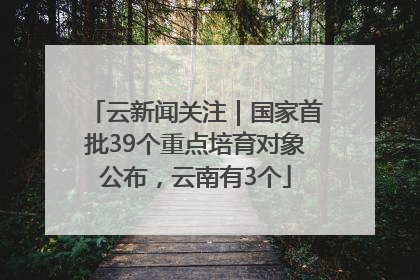 云新闻关注｜国家首批39个重点培育对象公布，云南有3个