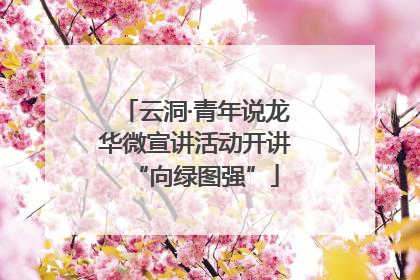 云洞·青年说龙华微宣讲活动开讲“向绿图强”