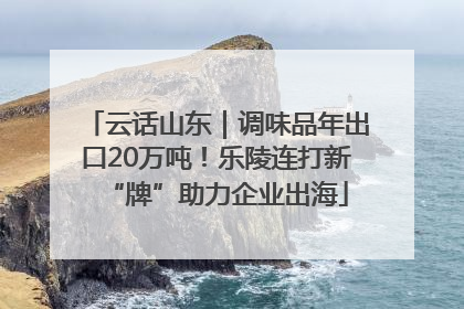 云话山东｜调味品年出口20万吨！乐陵连打新“牌”助力企业出海