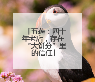 五莲：四十年老店，存在“大饼分”里的信任