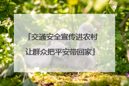 交通安全宣传进农村 让群众把平安带回家