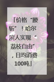 价格“腰斩”！哈尔滨人实现“荔枝自由”，日均消费100吨