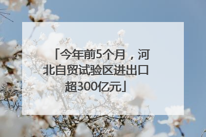 今年前5个月，河北自贸试验区进出口超300亿元
