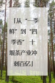 从“一季鲜”到“四季香” 十堰茶产业冲刺百亿