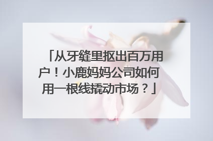 从牙缝里抠出百万用户！小鹿妈妈公司如何用一根线撬动市场？