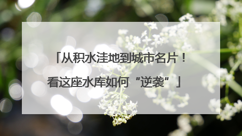 从积水洼地到城市名片！看这座水库如何“逆袭”