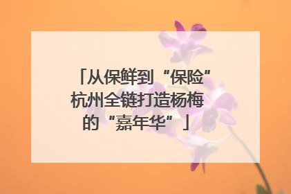 从保鲜到“保险” 杭州全链打造杨梅的“嘉年华”