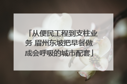 从便民工程到支柱业务 眉州东坡把早餐做成会呼吸的城市配套