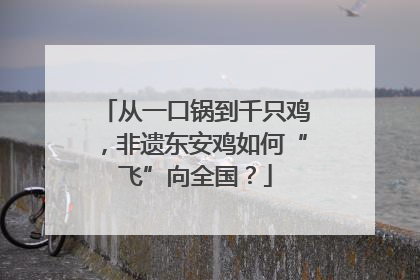 从一口锅到千只鸡，非遗东安鸡如何“飞”向全国？