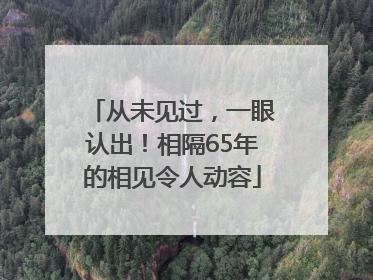 从未见过，一眼认出！相隔65年的相见令人动容
