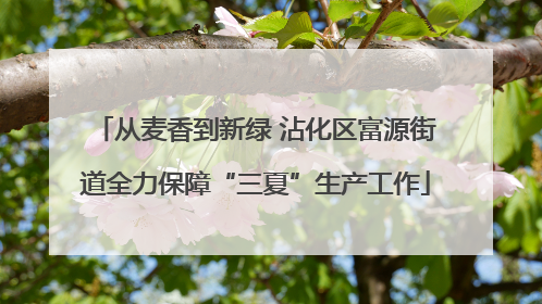 从麦香到新绿 沾化区富源街道全力保障“三夏”生产工作