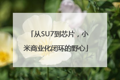 从SU7到芯片，小米商业化闭环的野心