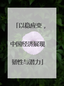 以稳应变，中国经济展现韧性与潜力