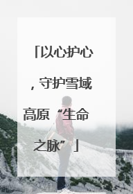 以心护心，守护雪域高原“生命之脉”
