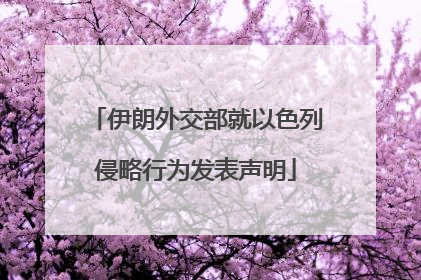 伊朗外交部就以色列侵略行为发表声明