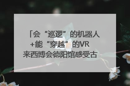会“巡逻”的机器人+能“穿越”的VR 来西博会德阳馆感受古蜀文明与现代智造的时空对话｜西博视界