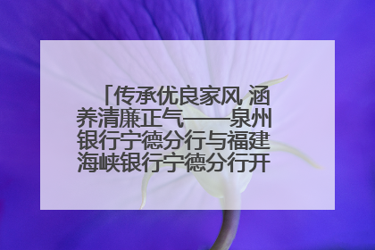 传承优良家风 涵养清廉正气——泉州银行宁德分行与福建海峡银行宁德分行开展主题党日活动