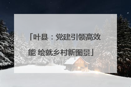 叶县：党建引领高效能 绘就乡村新图景