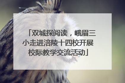 双城探阅读，峨眉三小走进涪陵十四校开展校际教学交流活动