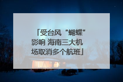 受台风“蝴蝶”影响 海南三大机场取消多个航班