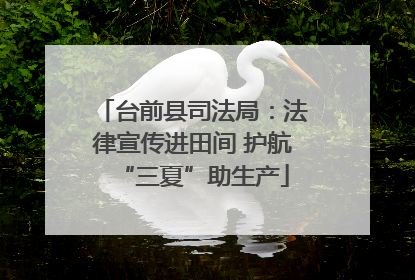 台前县司法局：法律宣传进田间 护航“三夏”助生产