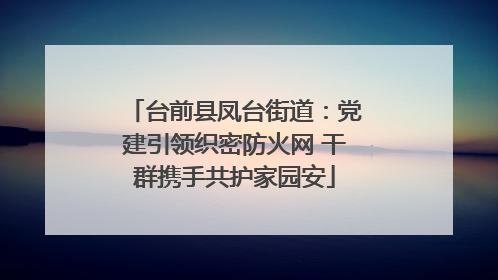 台前县凤台街道：党建引领织密防火网 干群携手共护家园安