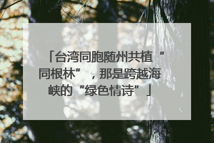台湾同胞随州共植“同根林”，那是跨越海峡的“绿色情诗”