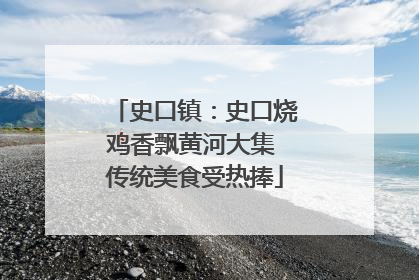 史口镇：史口烧鸡香飘黄河大集 传统美食受热捧
