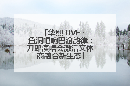 华熙 LIVE・鱼洞唱响巴渝韵律：刀郎演唱会激活文体商融合新生态