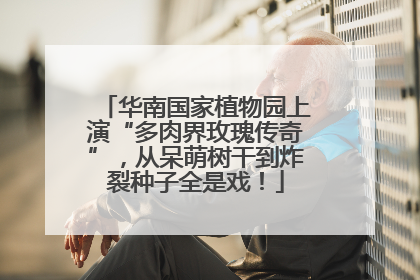 华南国家植物园上演“多肉界玫瑰传奇”，从呆萌树干到炸裂种子全是戏！