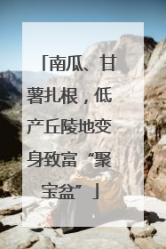南瓜、甘薯扎根，低产丘陵地变身致富“聚宝盆”