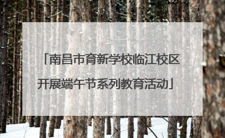 南昌市育新学校临江校区开展端午节系列教育活动