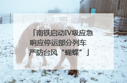 南铁启动Ⅳ级应急响应停运部分列车 严防台风“蝴蝶”