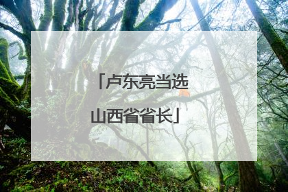 卢东亮当选山西省省长